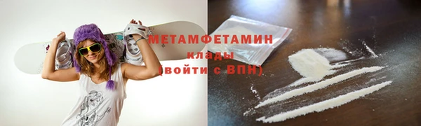 шишки Белокуриха